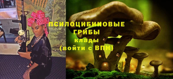 кокаин Богданович