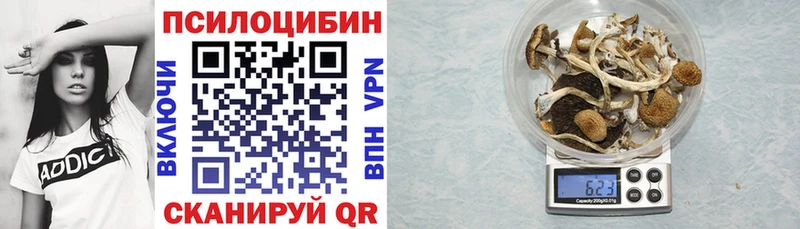 Галлюциногенные грибы прущие грибы  Купить где  Лесной 